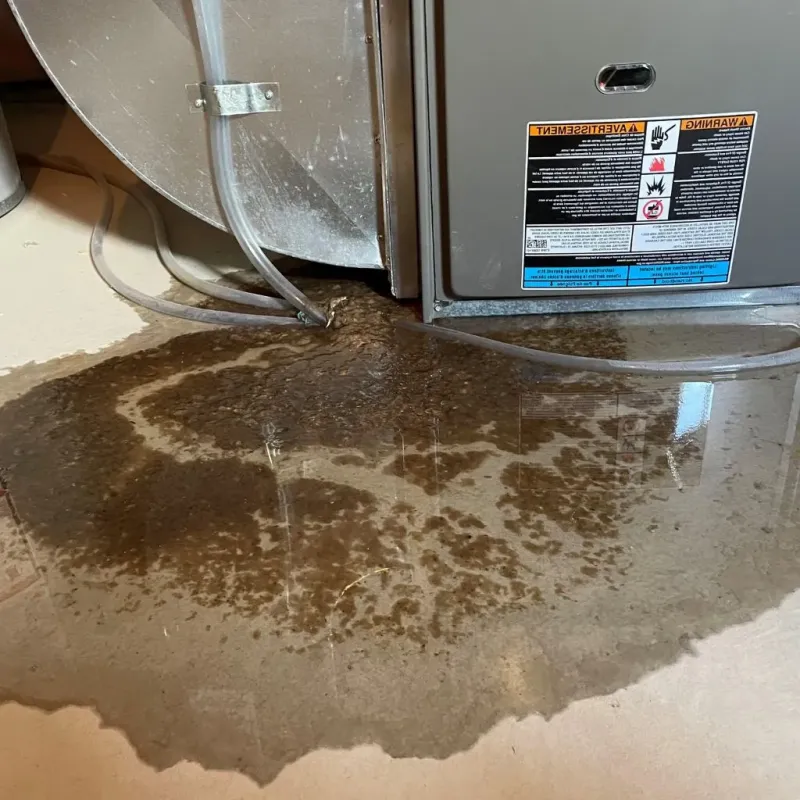 Pipe Burst and Leak Restoration in Arnett, OK